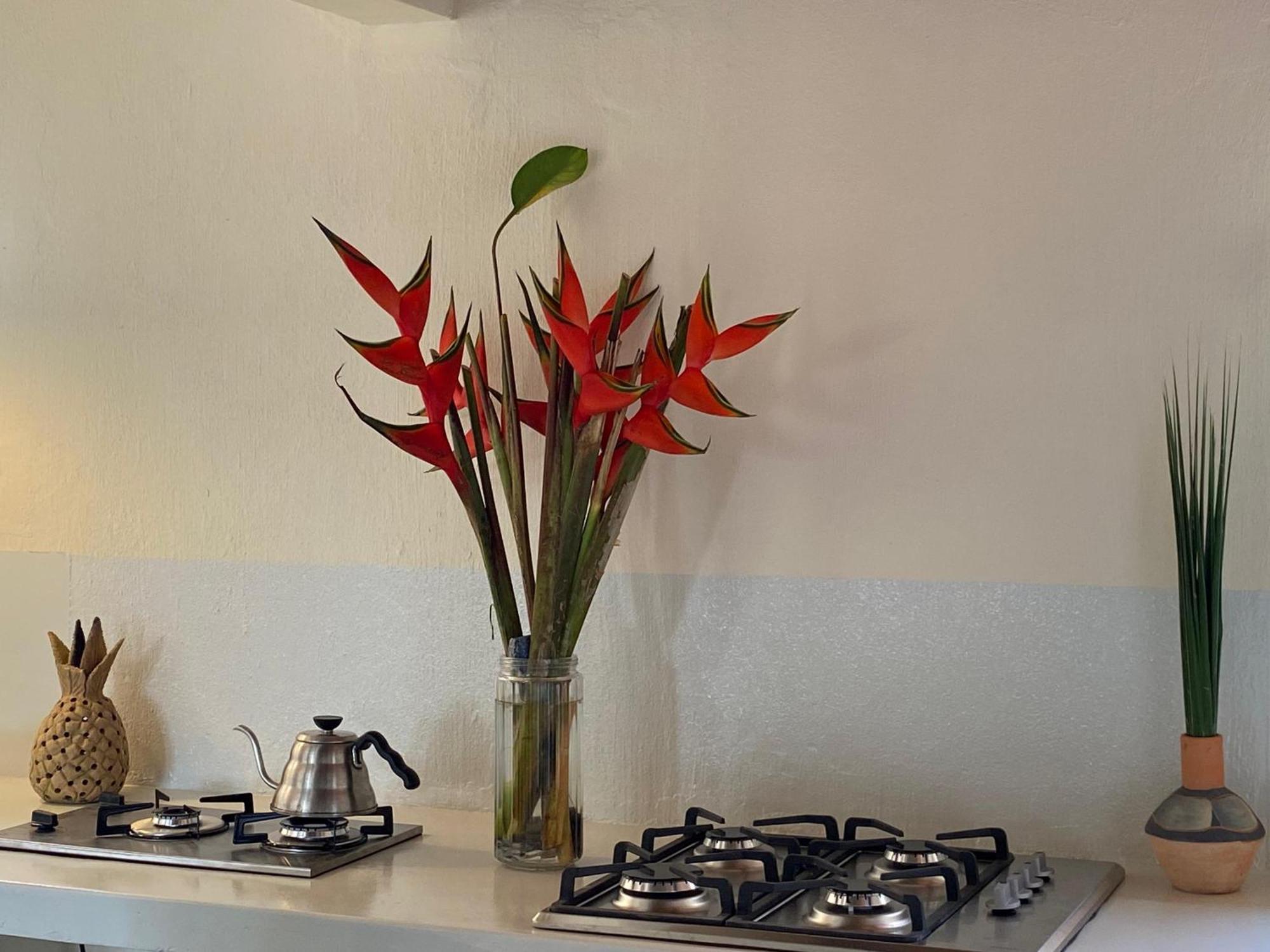 Teiu Hostel Trancoso Ngoại thất bức ảnh