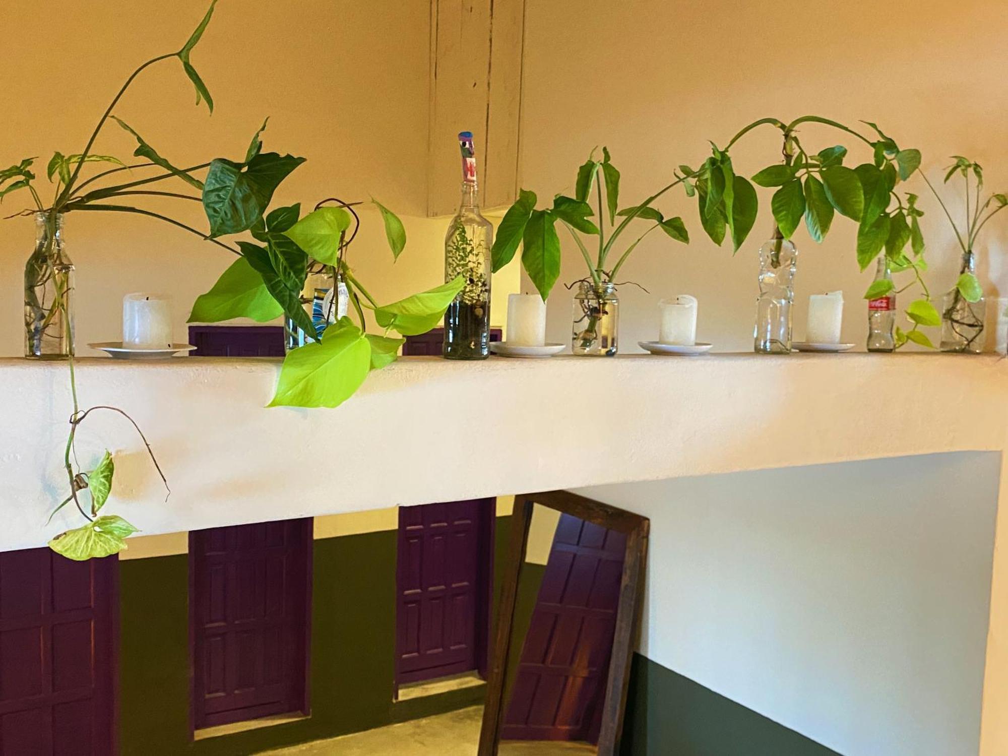 Teiu Hostel Trancoso Ngoại thất bức ảnh