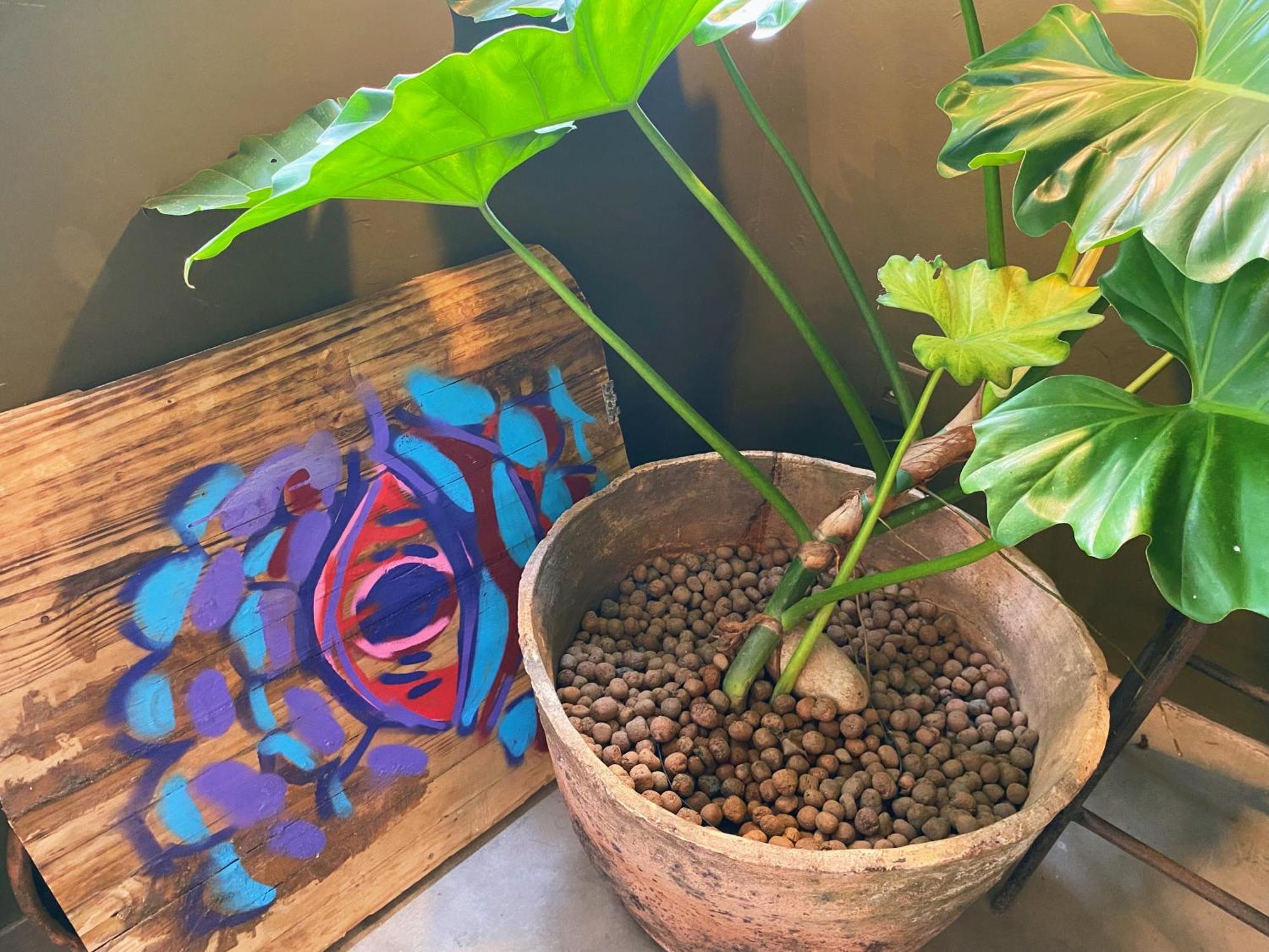 Teiu Hostel Trancoso Ngoại thất bức ảnh